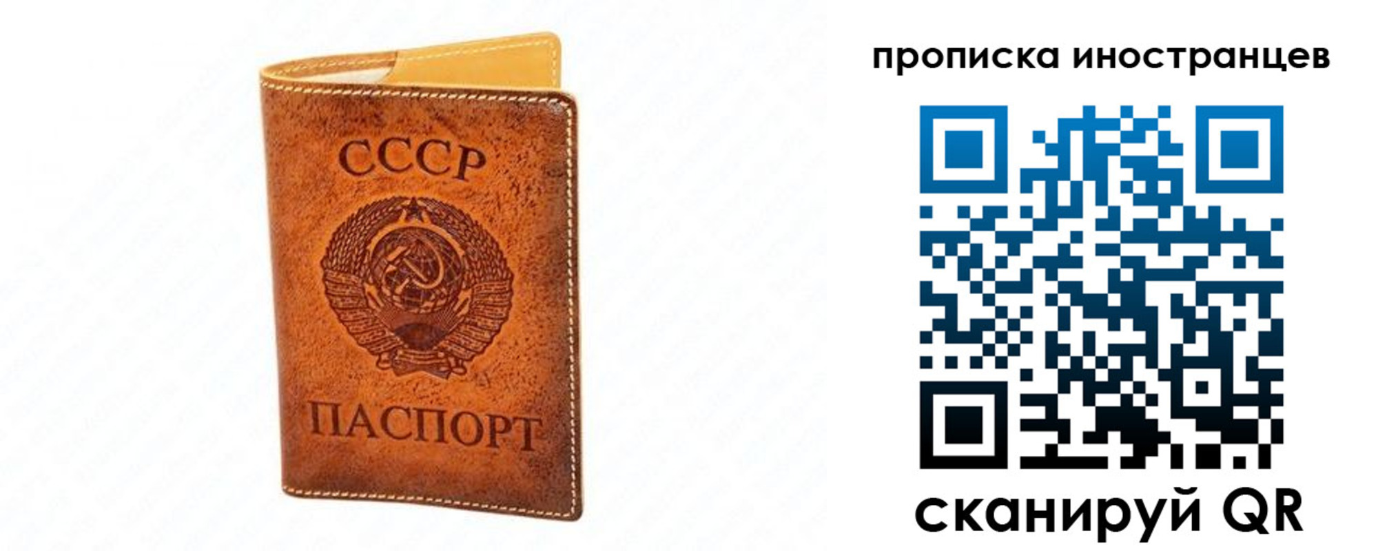 прописка для школы в Десногорске